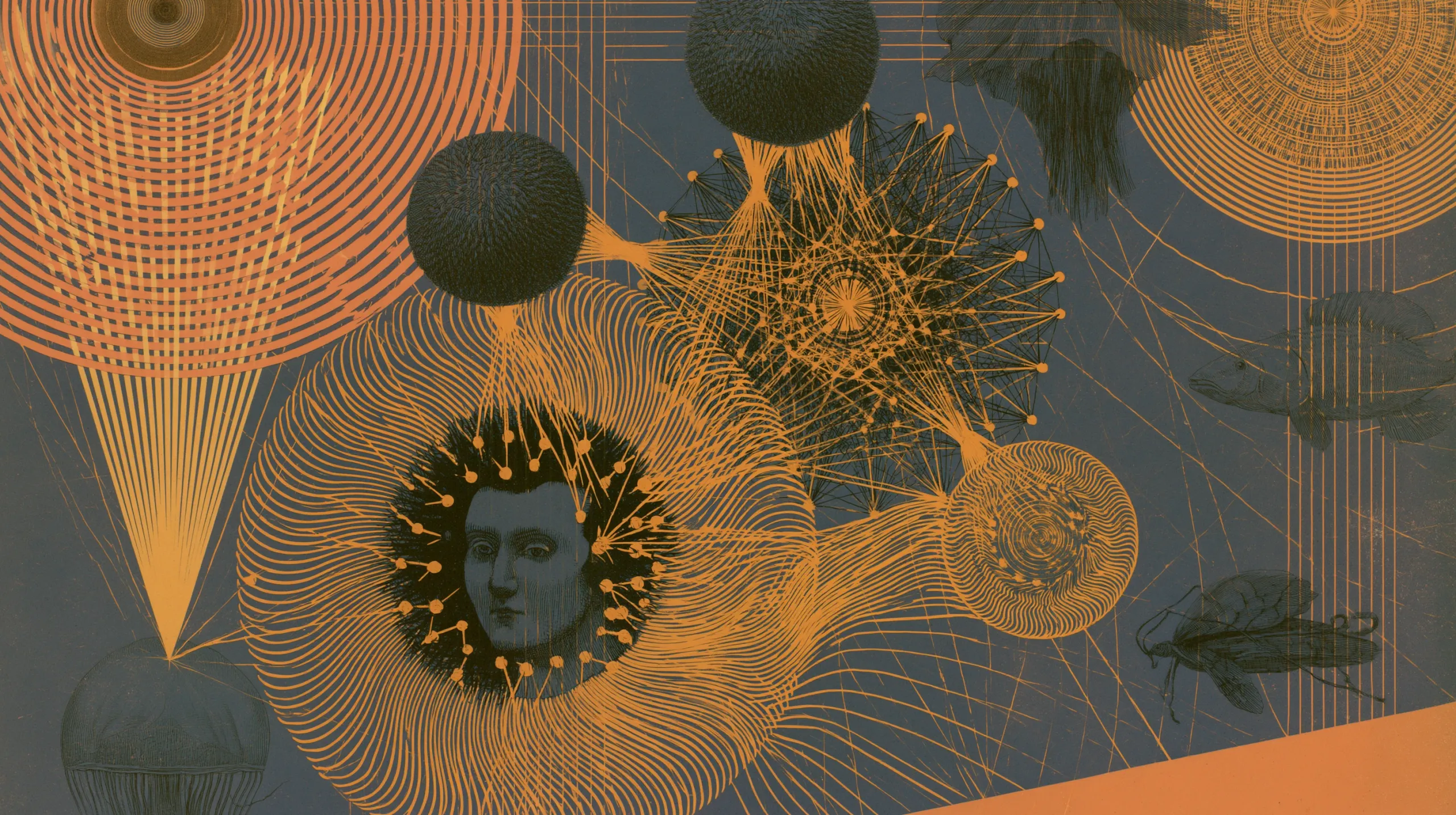 An engraved plate on slate blue: three dark woolly spheres are lashed into an orange web of threads around a spiked wheel, a face ringed by a black corona sits wrapped in swirling filament coils, concentric ring-bursts fill the corners, and faint fish, an insect and a jellyfish drift at the edges.